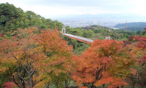 大自然を満喫！ 福岡にある一度は行きたい絶景スポット4選