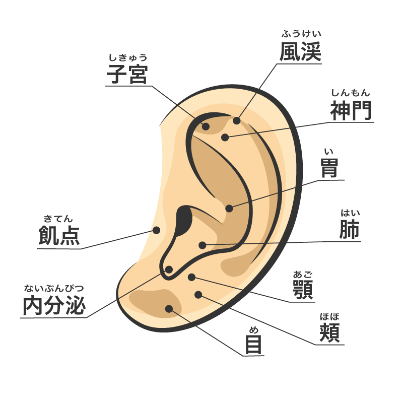 仕事の合間でもできる！耳マッサージの効果とやり方